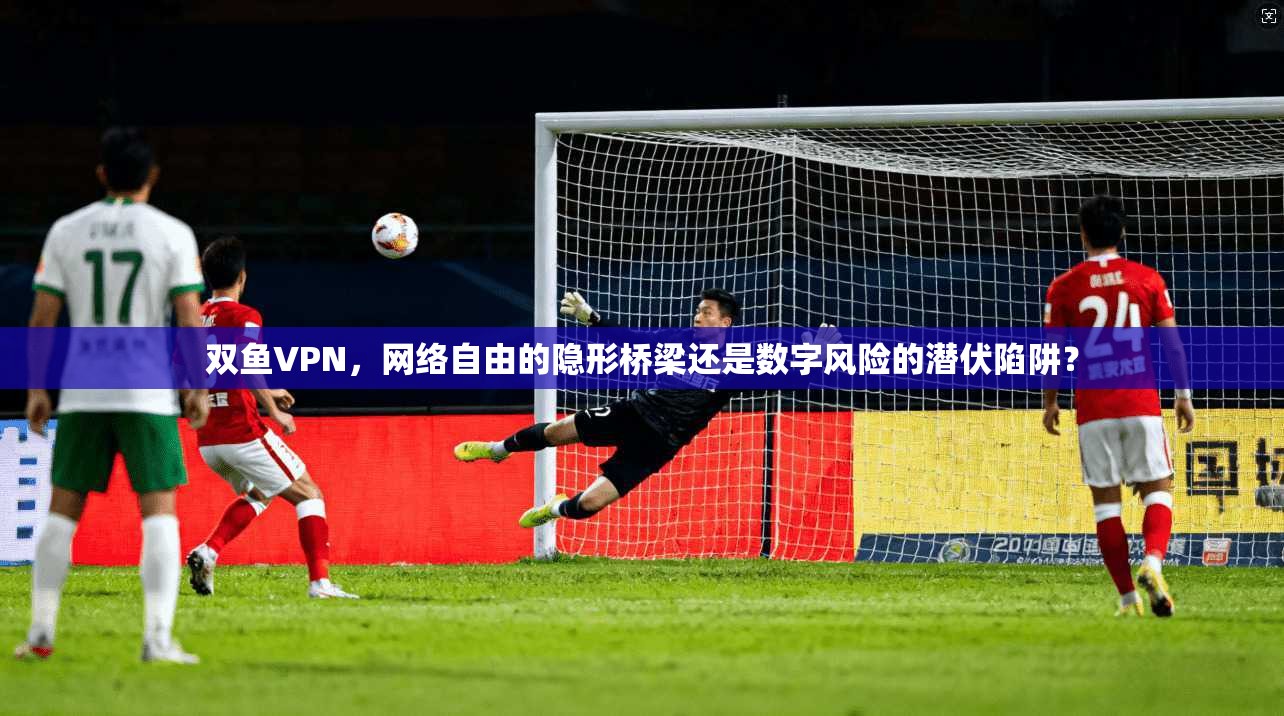 双鱼VPN，网络自由的隐形桥梁还是数字风险的潜伏陷阱？