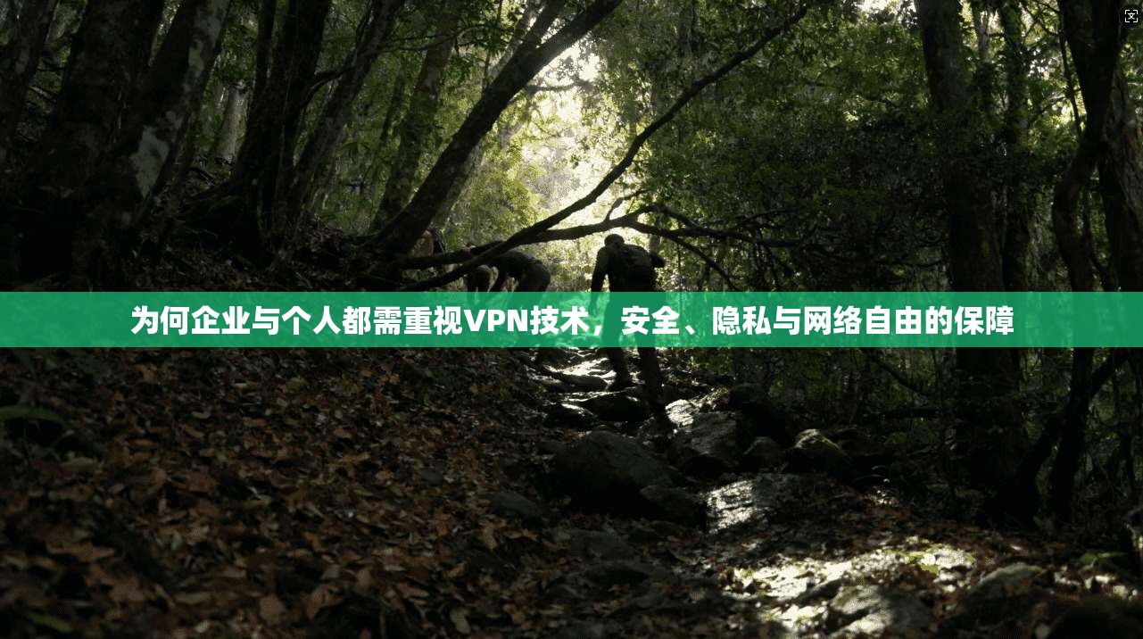 为何企业与个人都需重视VPN技术，安全、隐私与网络自由的保障