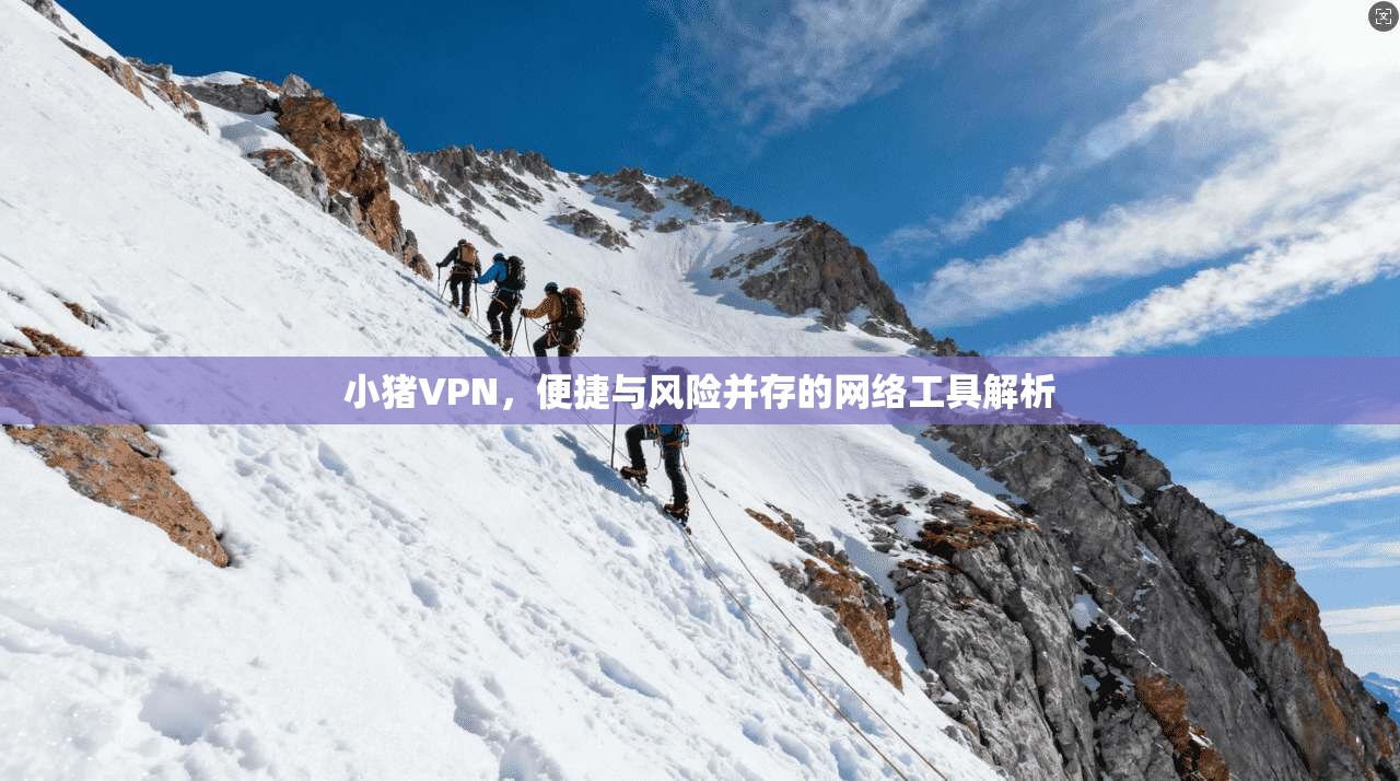 小猪VPN，便捷与风险并存的网络工具解析