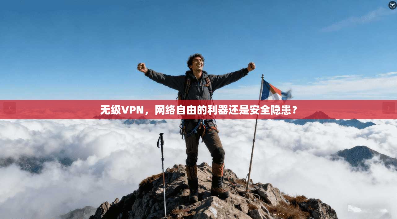 无级VPN，网络自由的利器还是安全隐患？