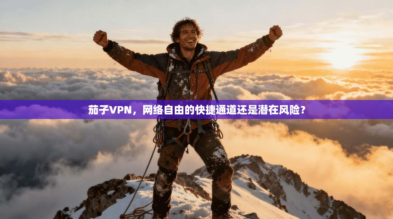 茄子VPN,网络自由的快捷通道还是潜在风险?