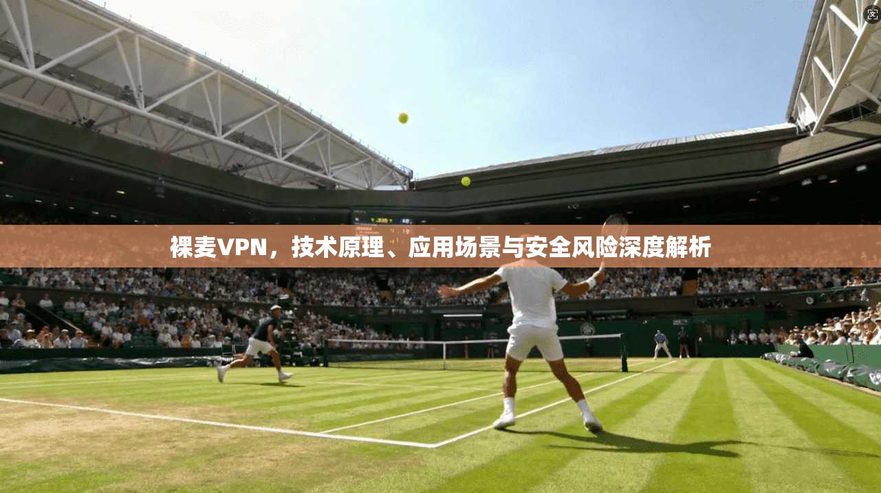 裸麦VPN，技术原理、应用场景与安全风险深度解析