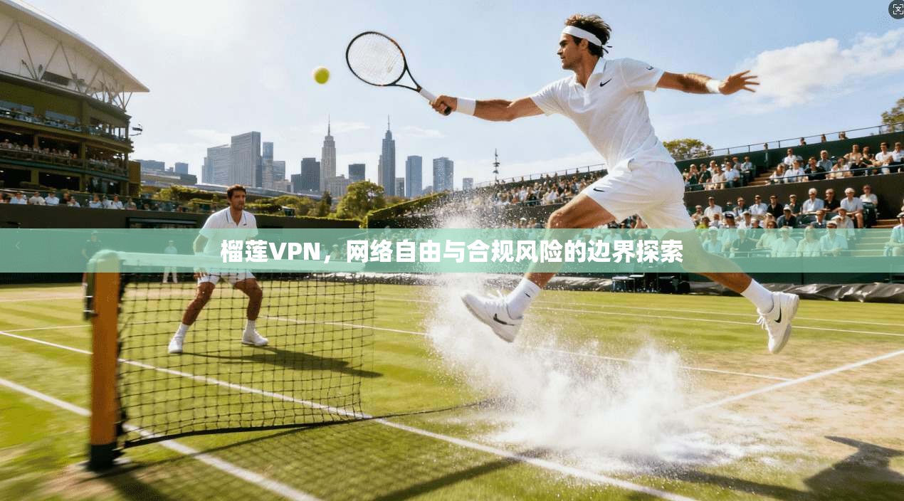 榴莲VPN,网络自由与合规风险的边界探索
