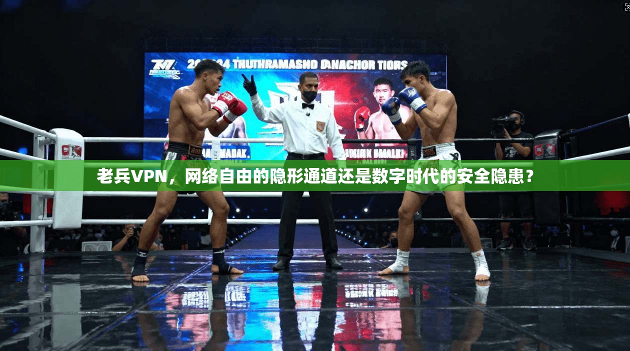 老兵VPN，网络自由的隐形通道还是数字时代的安全隐患？