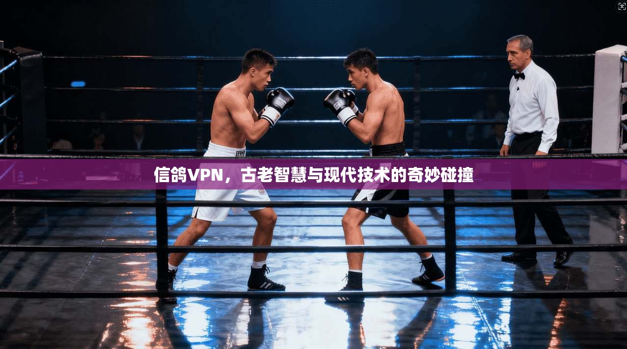 信鸽VPN，古老智慧与现代技术的奇妙碰撞