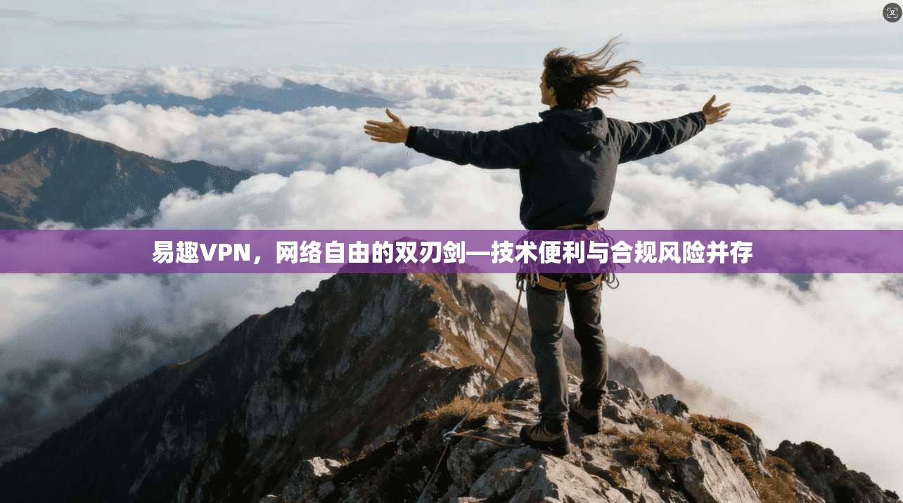 易趣VPN,网络自由的双刃剑—技术便利与合规风险并存
