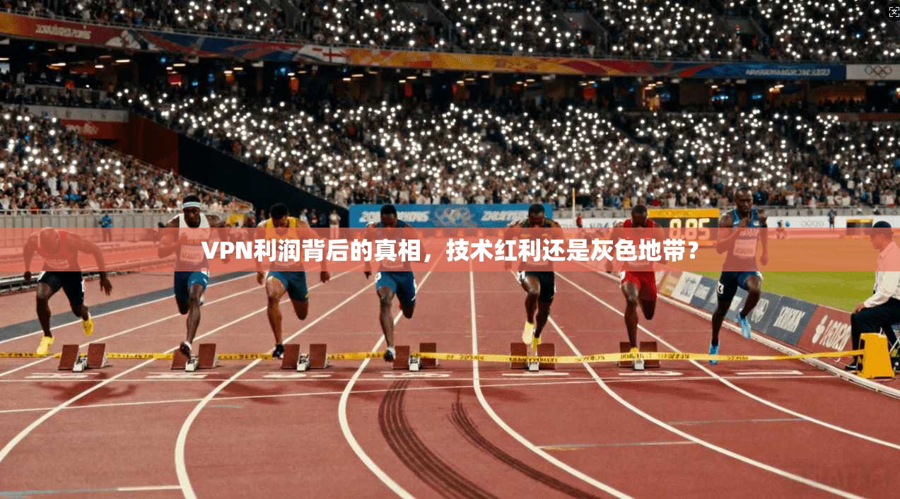VPN利润背后的真相,技术红利还是灰色地带?