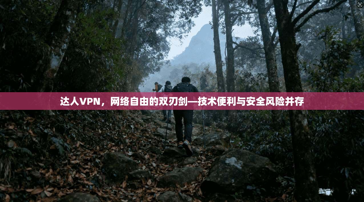 达人VPN,网络自由的双刃剑—技术便利与安全风险并存