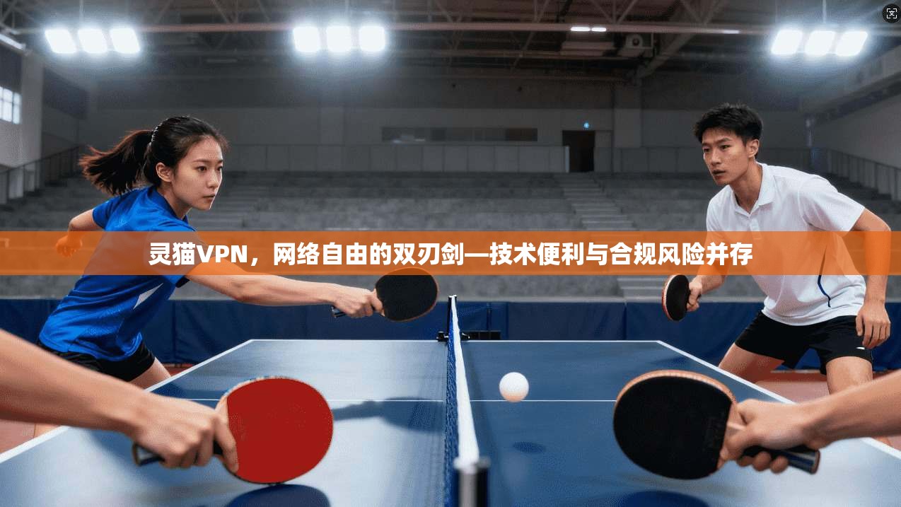 灵猫VPN,网络自由的双刃剑—技术便利与合规风险并存