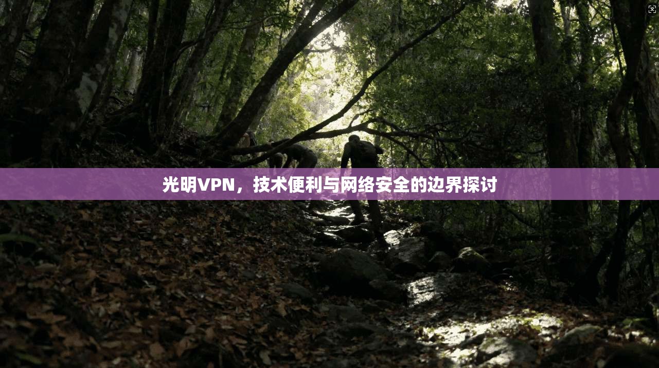 光明VPN，技术便利与网络安全的边界探讨