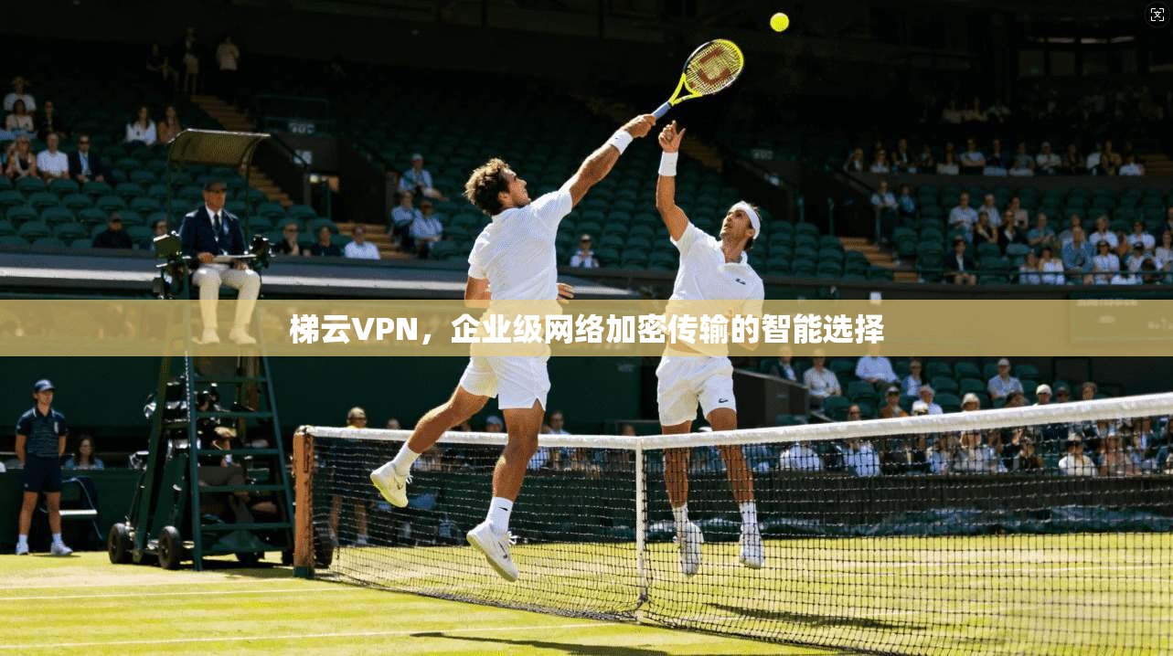 梯云VPN，企业级网络加密传输的智能选择