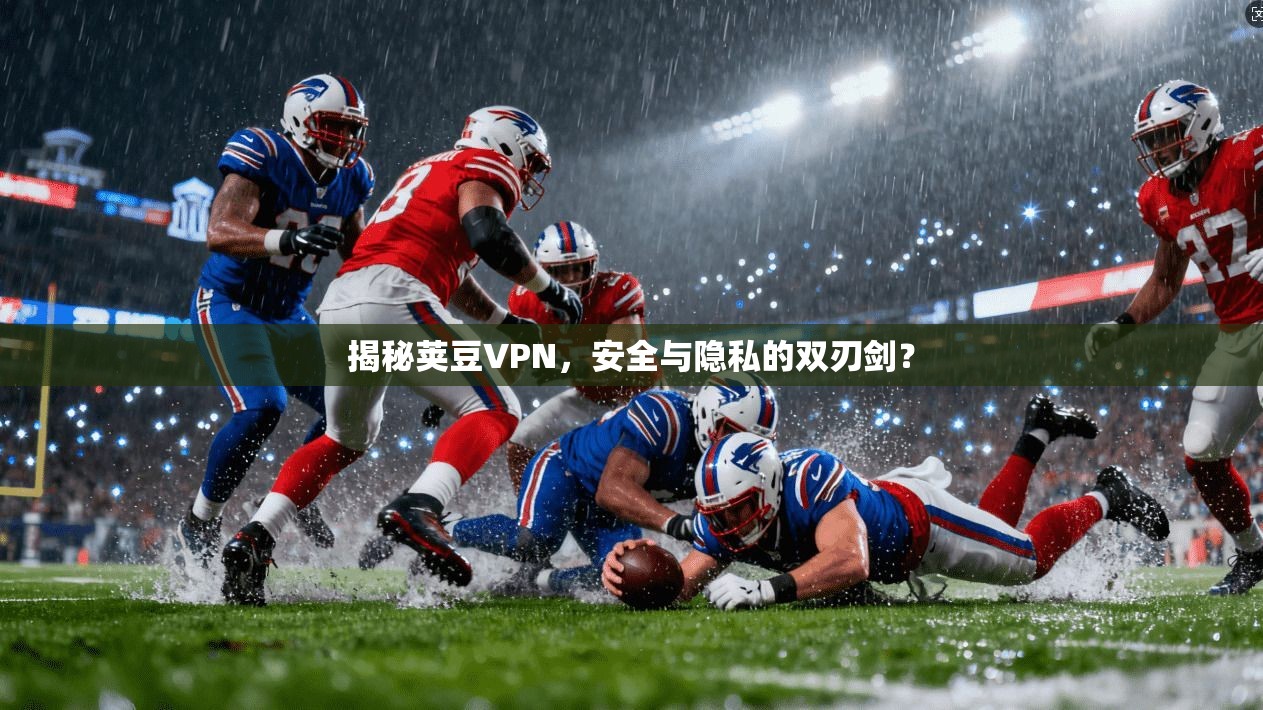 揭秘荚豆VPN，安全与隐私的双刃剑？
