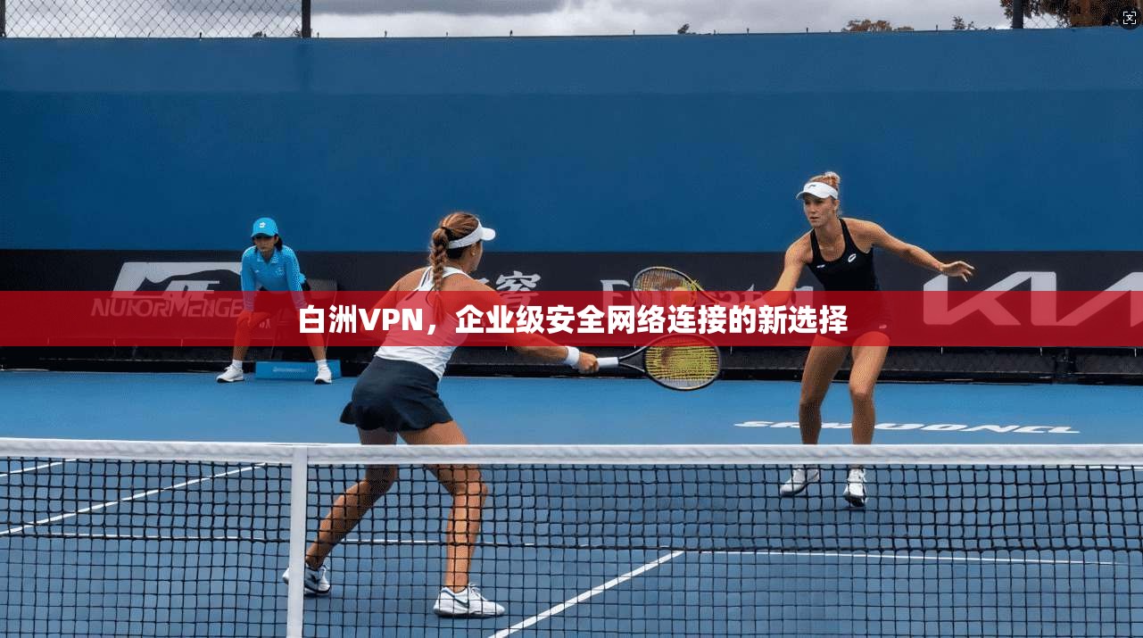白洲VPN,企业级安全网络连接的新选择
