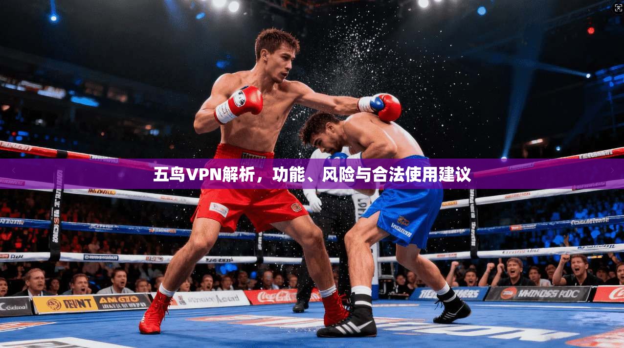 五鸟VPN解析,功能、风险与合法使用建议