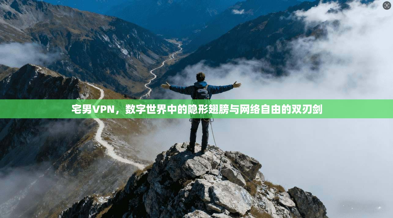 宅男VPN，数字世界中的隐形翅膀与网络自由的双刃剑