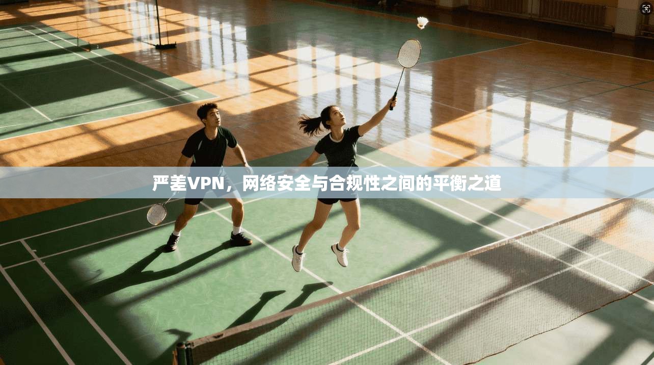 严差VPN,网络安全与合规性之间的平衡之道