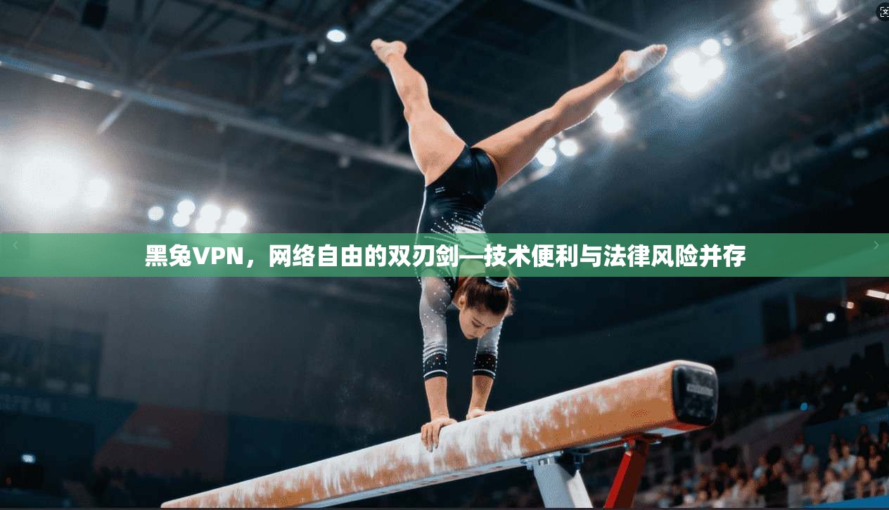 黑兔VPN，网络自由的双刃剑—技术便利与法律风险并存