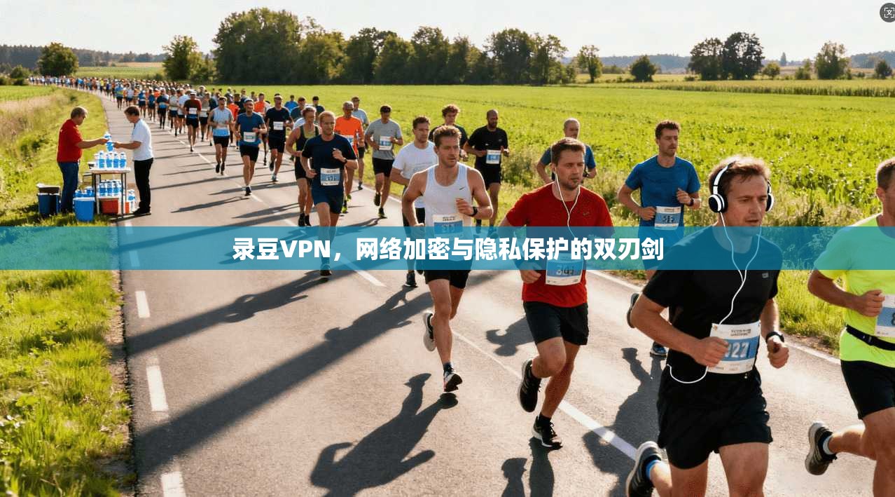 录豆VPN，网络加密与隐私保护的双刃剑