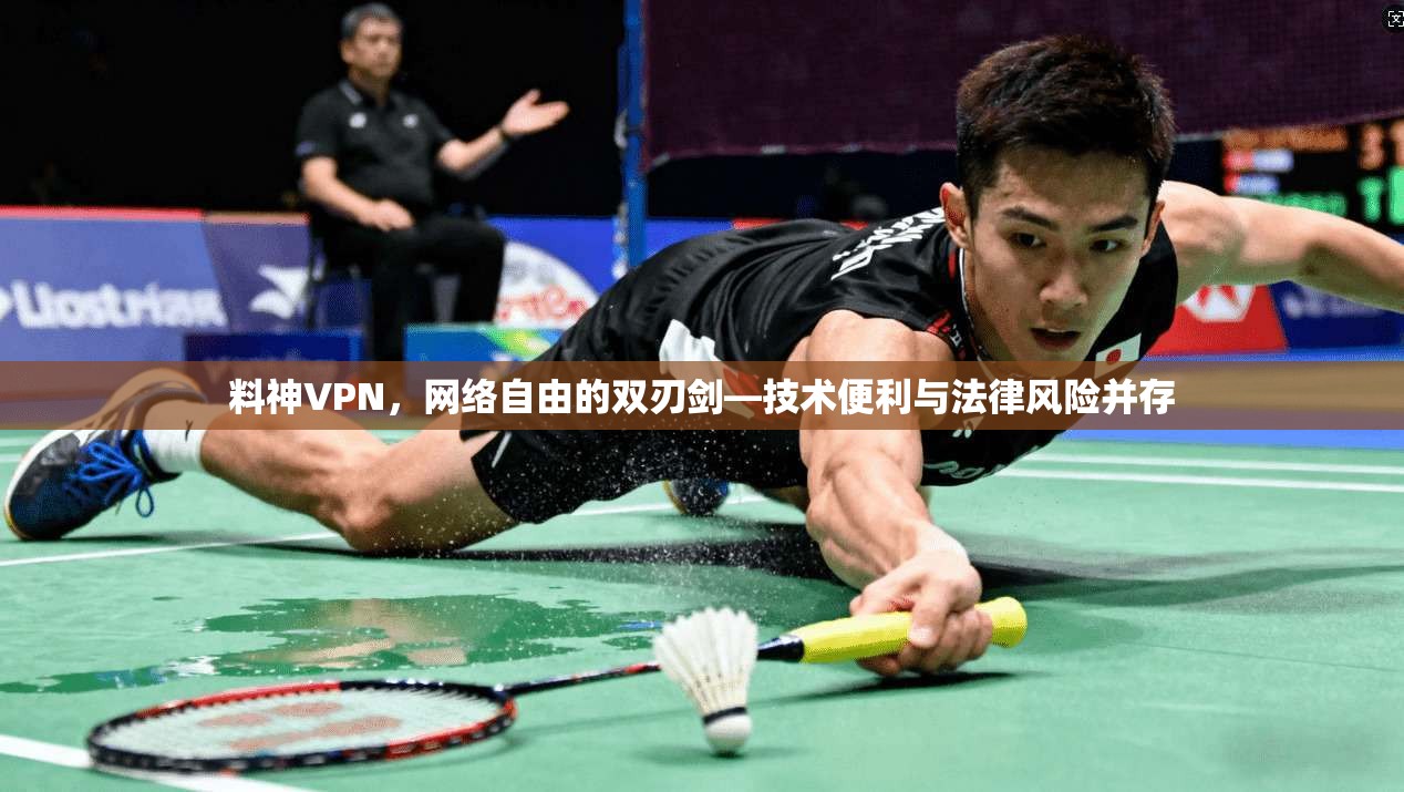 料神VPN,网络自由的双刃剑—技术便利与法律风险并存