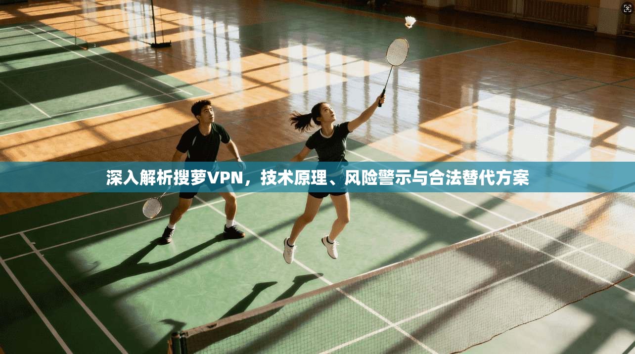 深入解析搜萝VPN，技术原理、风险警示与合法替代方案