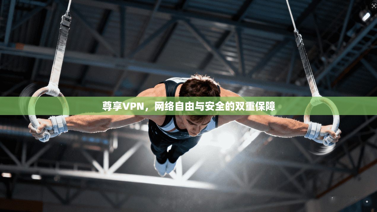 尊享VPN，网络自由与安全的双重保障