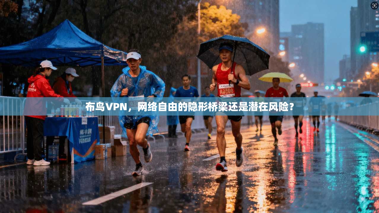 布鸟VPN，网络自由的隐形桥梁还是潜在风险？