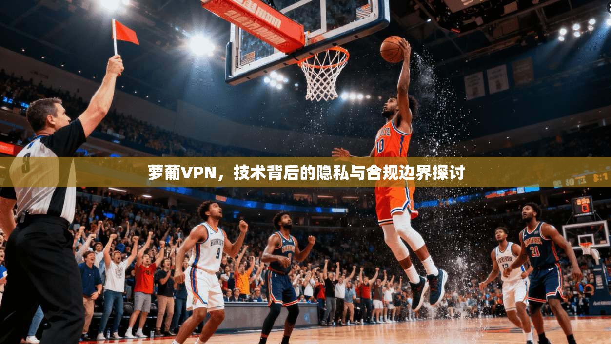 萝葡VPN，技术背后的隐私与合规边界探讨