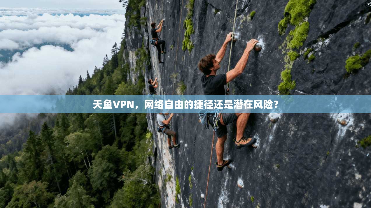 天鱼VPN，网络自由的捷径还是潜在风险？