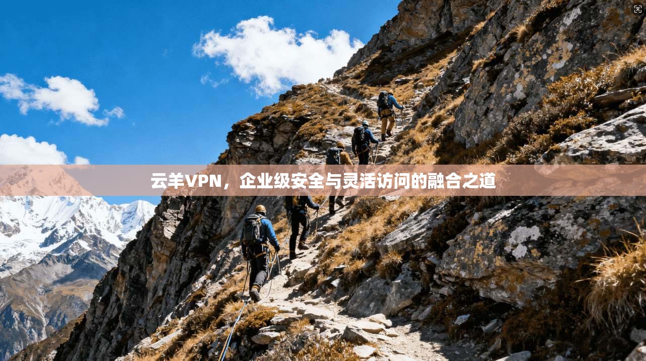 云羊VPN，企业级安全与灵活访问的融合之道