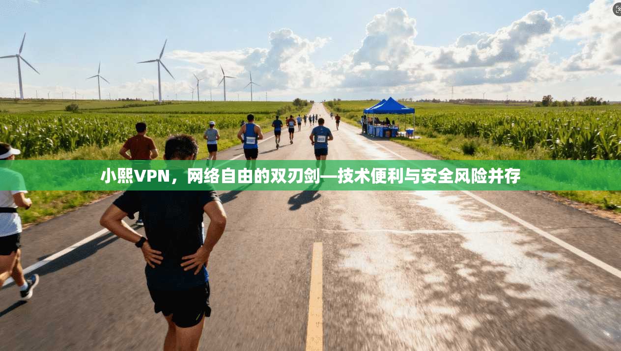 小熙VPN，网络自由的双刃剑—技术便利与安全风险并存