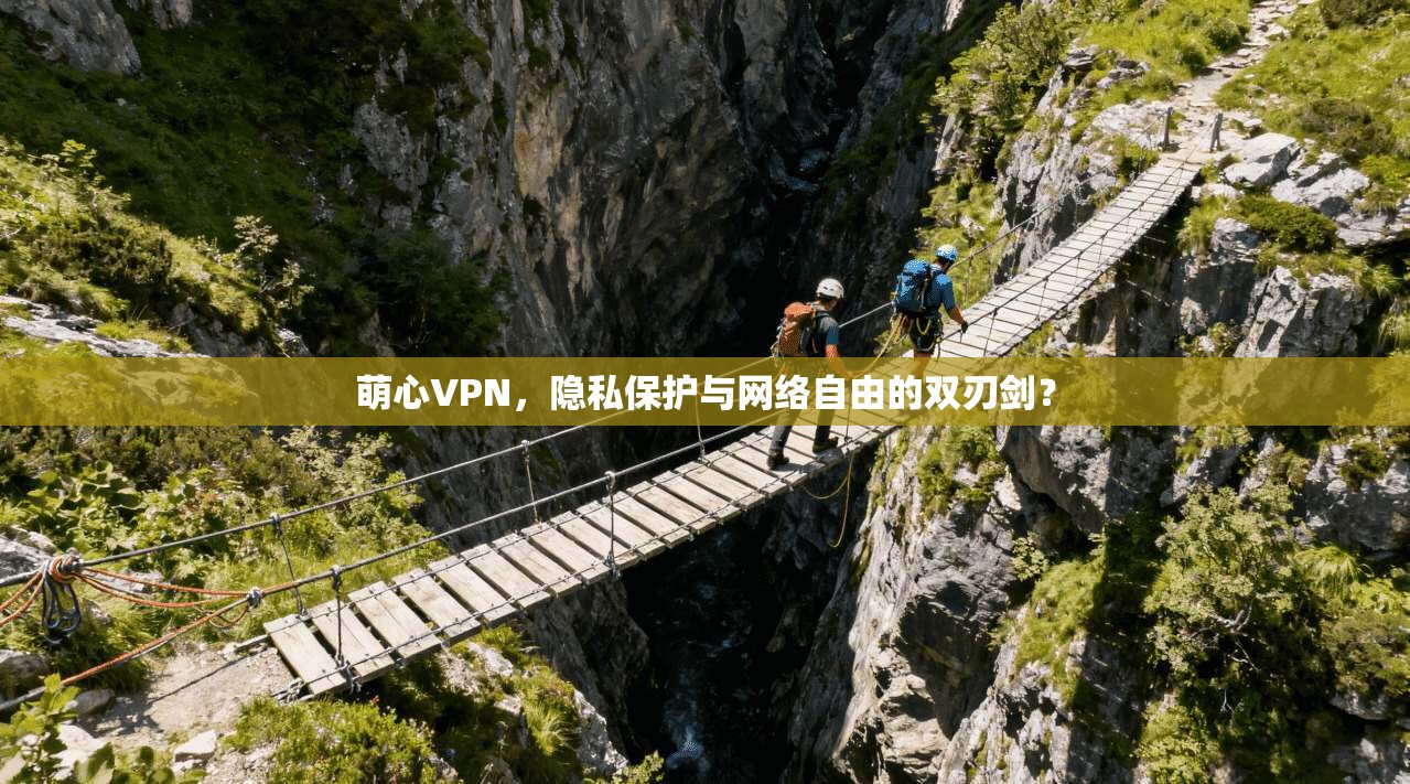 萌心VPN，隐私保护与网络自由的双刃剑？