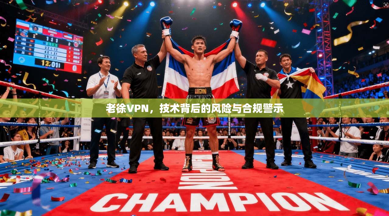 老徐VPN，技术背后的风险与合规警示