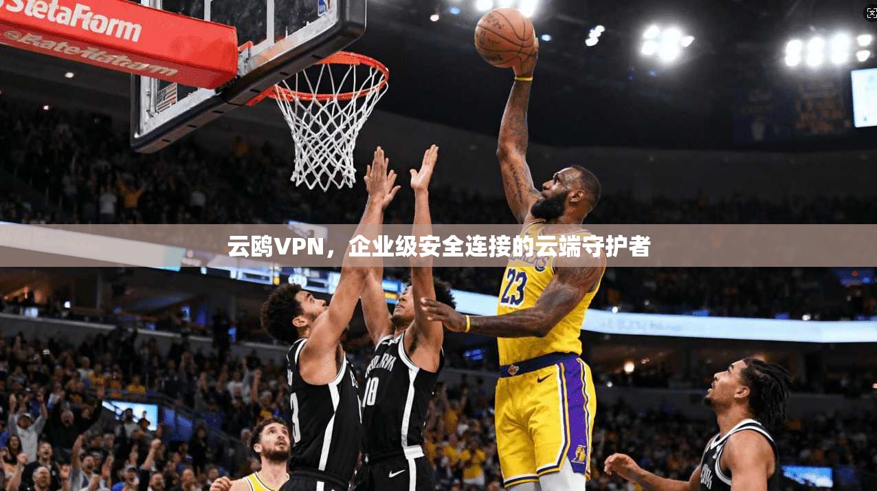 云鸥VPN,企业级安全连接的云端守护者