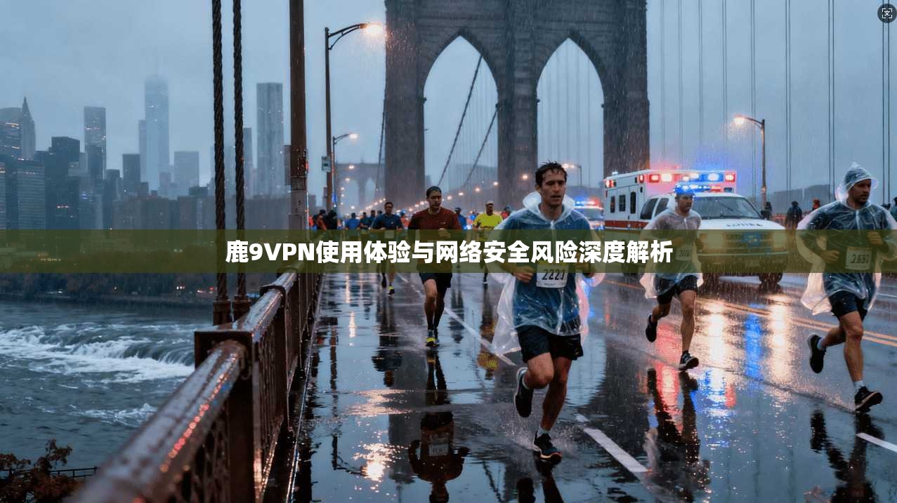 鹿9VPN使用体验与网络安全风险深度解析