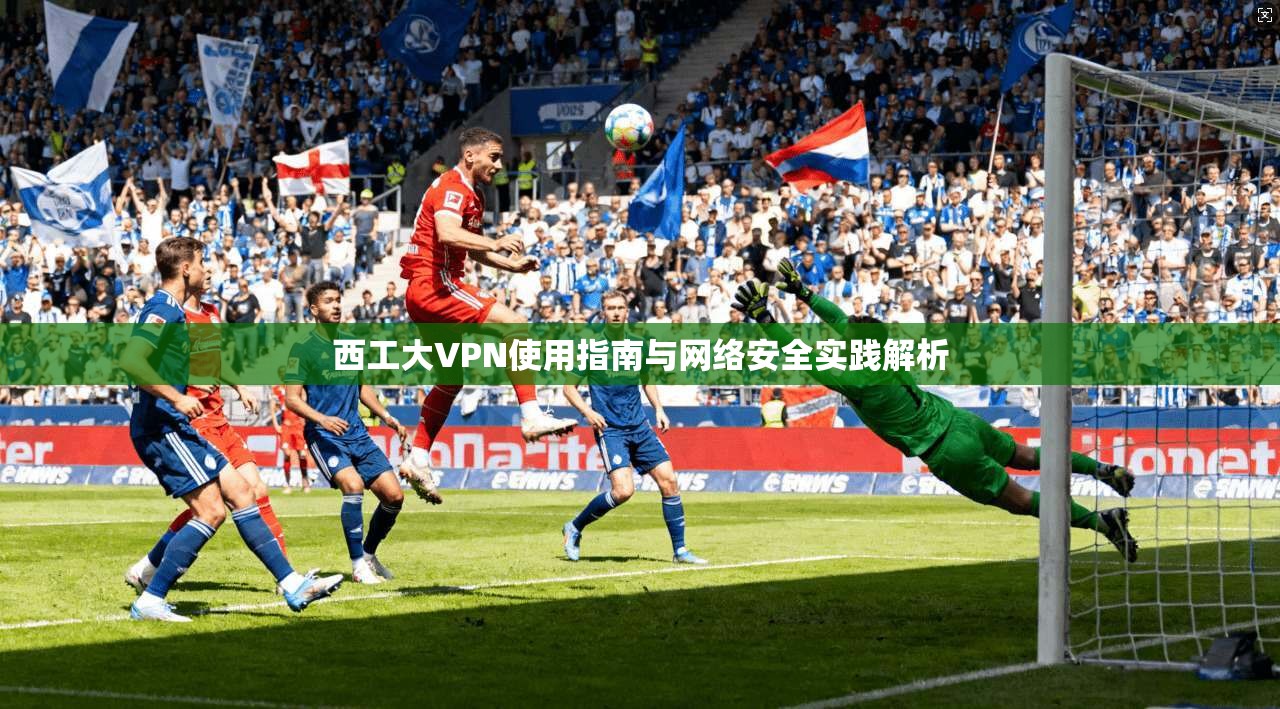 西工大VPN使用指南与网络安全实践解析