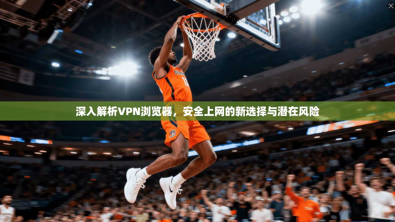 深入解析VPN浏览器，安全上网的新选择与潜在风险