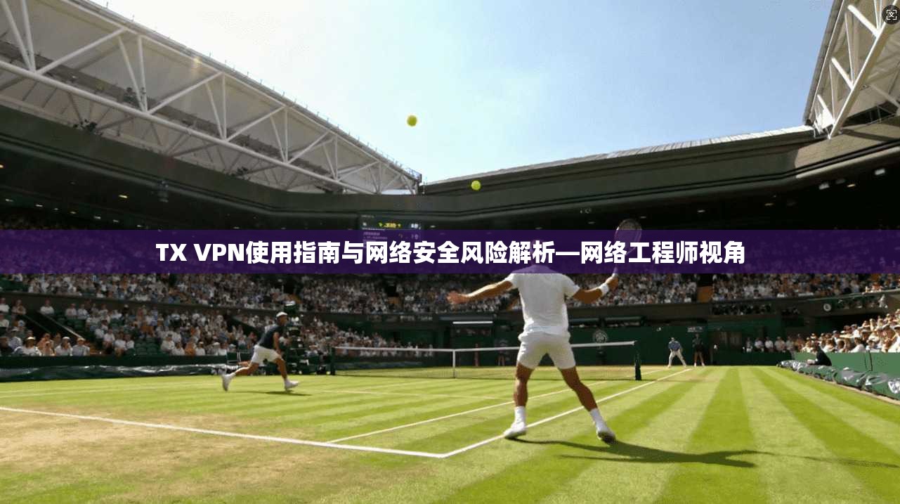 TX VPN使用指南与网络安全风险解析—网络工程师视角