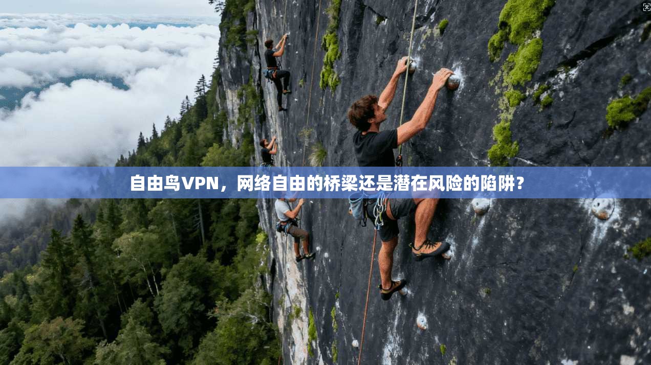 自由鸟VPN，网络自由的桥梁还是潜在风险的陷阱？