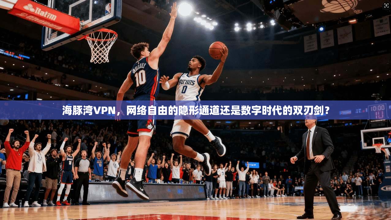 海豚湾VPN,网络自由的隐形通道还是数字时代的双刃剑?