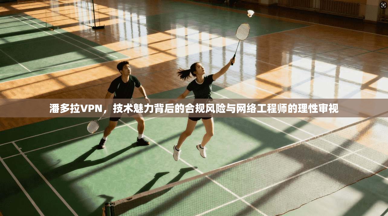 潘多拉VPN，技术魅力背后的合规风险与网络工程师的理性审视