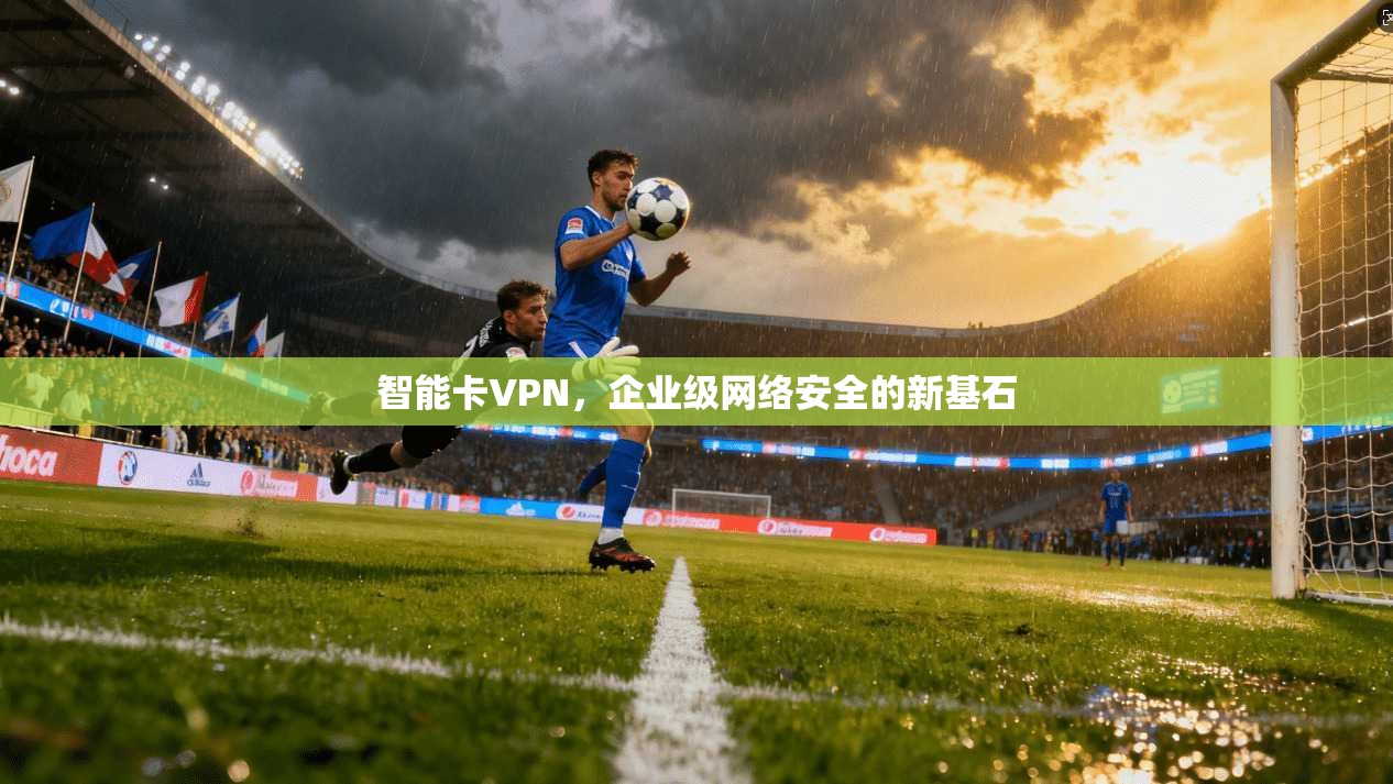 智能卡VPN,企业级网络安全的新基石