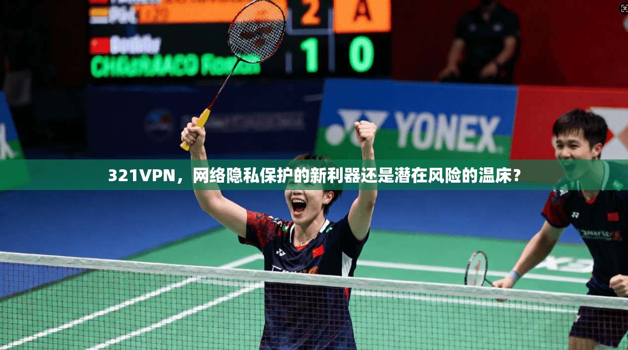 321VPN,网络隐私保护的新利器还是潜在风险的温床?