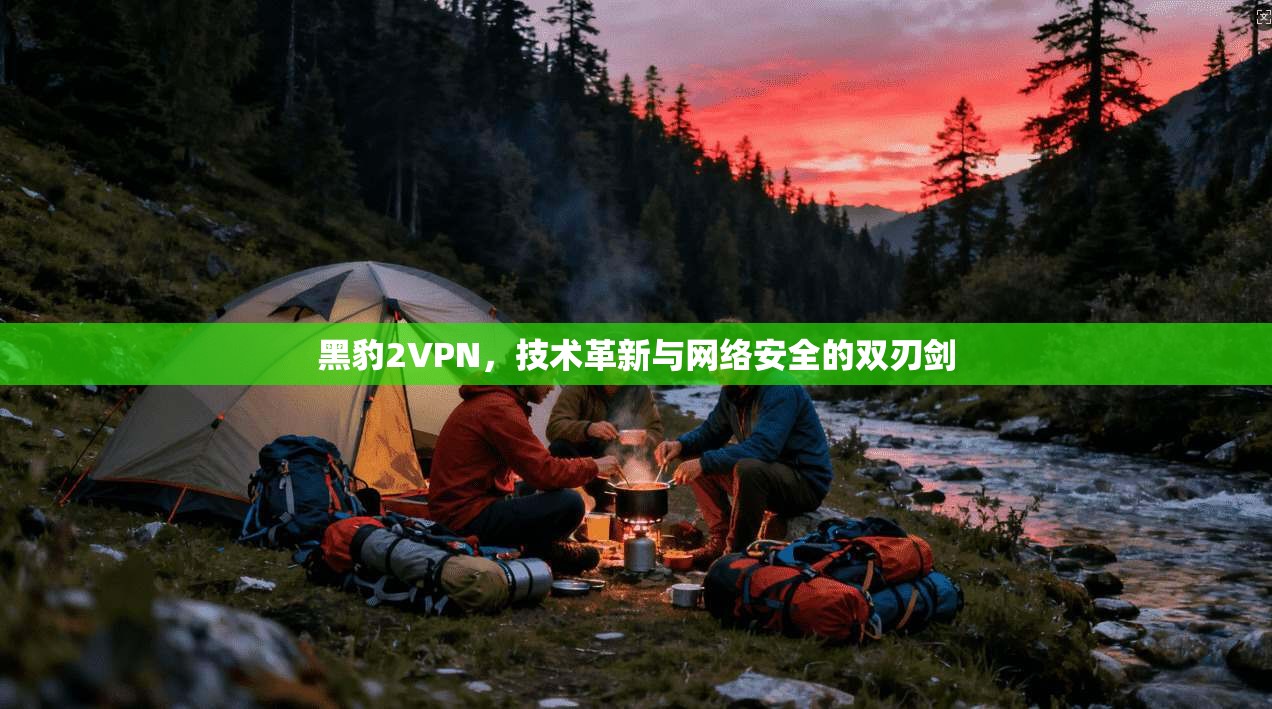 黑豹2VPN，技术革新与网络安全的双刃剑