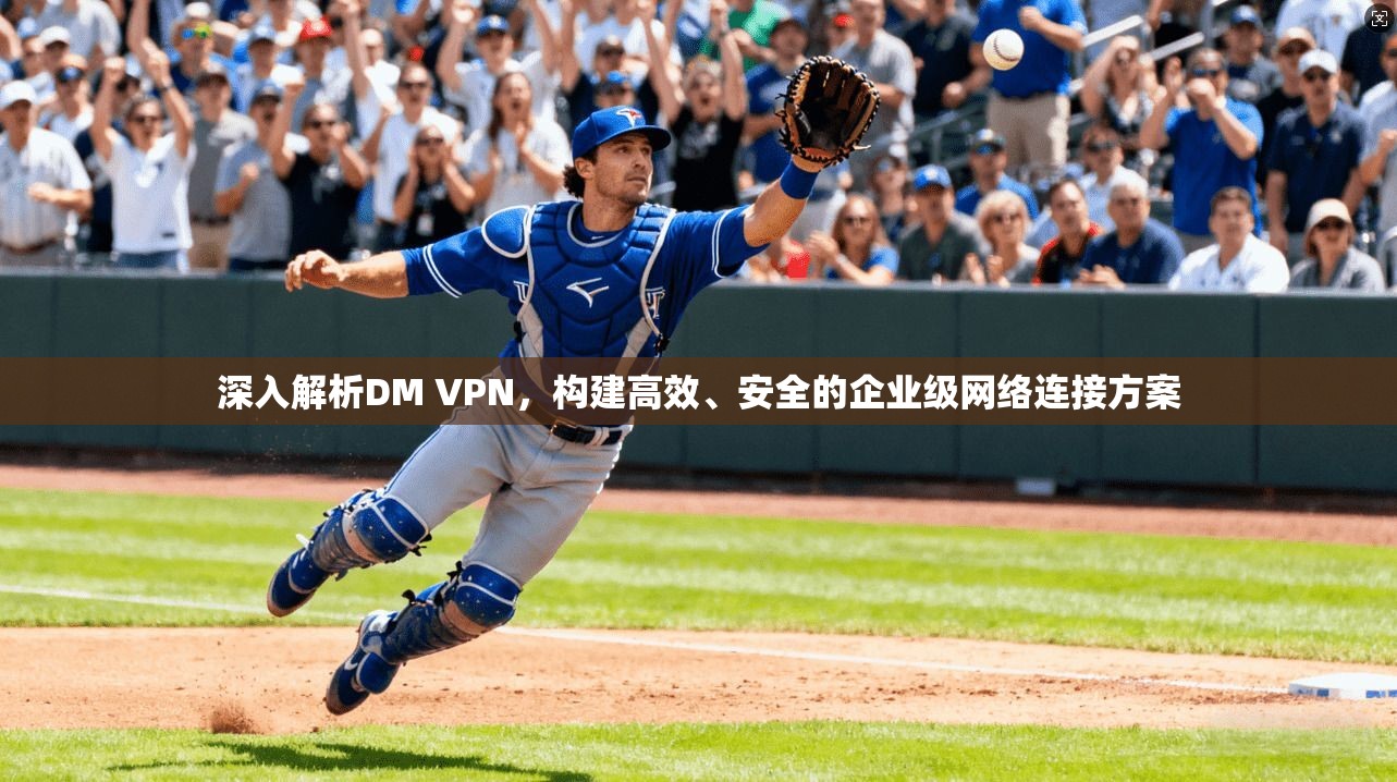深入解析DM VPN，构建高效、安全的企业级网络连接方案