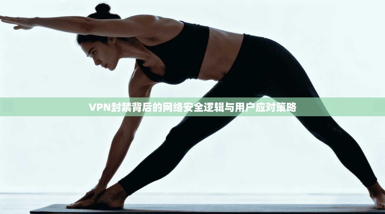 VPN封禁背后的网络安全逻辑与用户应对策略