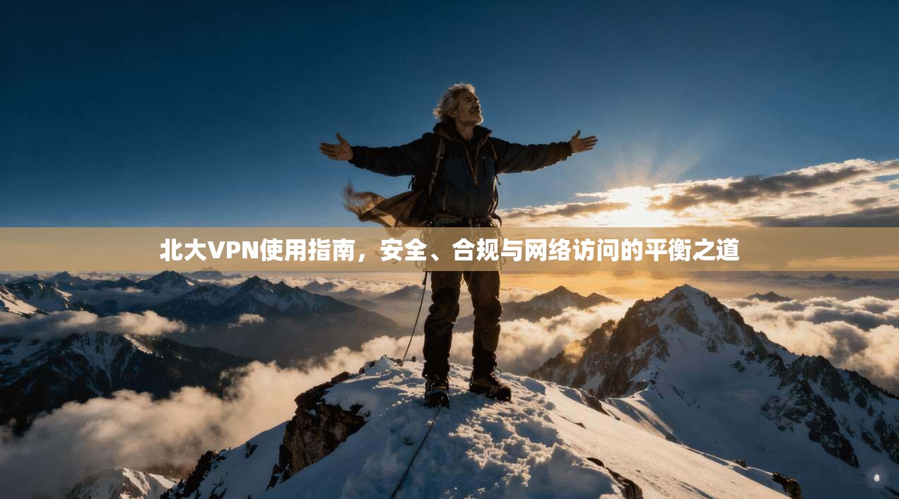 北大VPN使用指南，安全、合规与网络访问的平衡之道