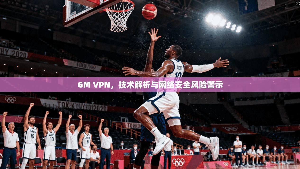 GM VPN，技术解析与网络安全风险警示