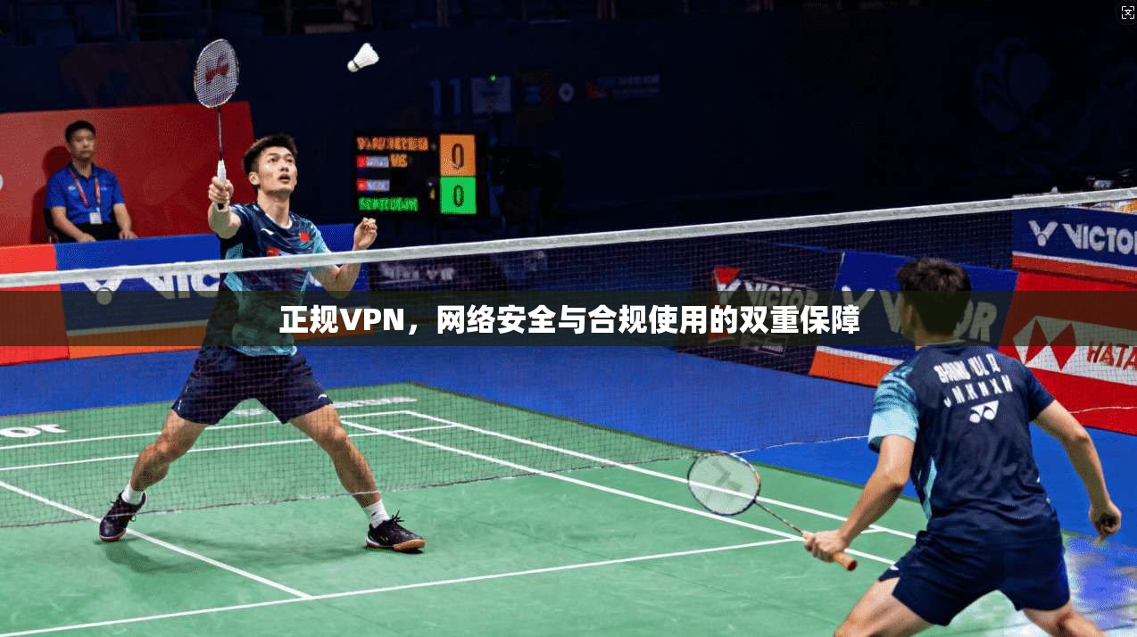 正规VPN，网络安全与合规使用的双重保障