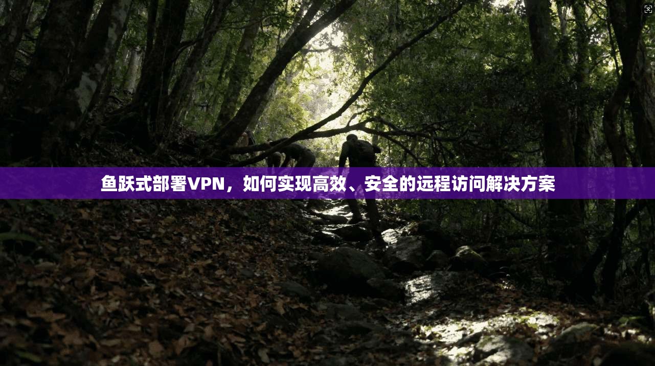 鱼跃式部署VPN，如何实现高效、安全的远程访问解决方案