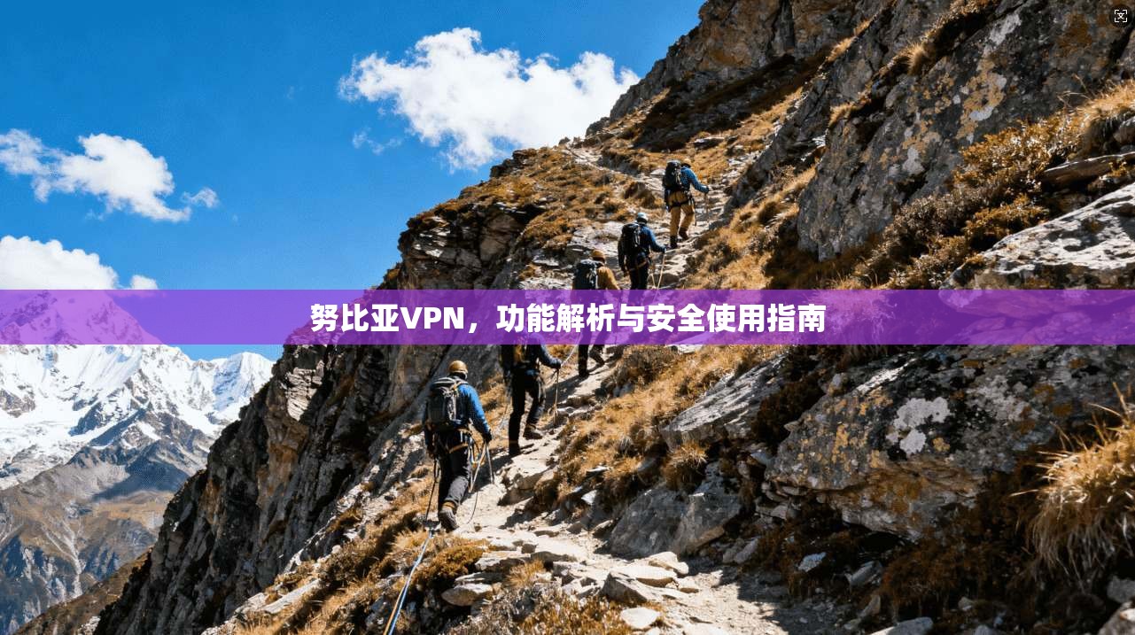 努比亚VPN，功能解析与安全使用指南